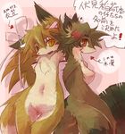  breasts brow_eyes brown_fur canine cute female fur japanese_text kemono mammal nipples open_mouth text translation_request wolf 湖 