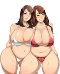  asian bikini blush breasts brown_eyes brown_hair dragoon-rekka grin hitomi_tanaka huge_breasts kajika_rin long_hair looking_at_viewer multiple_girls navel one_eye_closed plump simple_background smile swimsuit thick_thighs wide_hips wink 