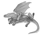  dragon erection gryph000 herm intersex invalid_tag lying male maleherm morning_wood nude penis pose pussy scalie spread_legs spreading tentacles teraunce waking_up wings 
