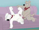  anal anal_penetration balls blue_eyes brian_griffin canine dog family_guy looking_at_viewer lying male male/male mammal neenya new_brian orgasm penetration penis sex sofa 