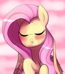  2015 blush dotkwa equine eyes_closed female feral fluttershy_(mlp) friendship_is_magic hair long_hair mammal my_little_pony pegasus pink_hair solo sweat wings 