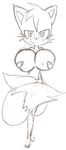  big_breasts breasts canine convenient_censorship crossgender denizen1414 female fox mammal melissa_&quot;tailsko&quot;_prower miles_prower nude sonic_(series) 