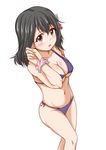  bikini black_hair brown_eyes haguro_(kantai_collection) highres ippachi kantai_collection scrunchie short_hair solo swimsuit wrist_scrunchie 