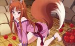  animal_ears apple barefoot horo long_hair orange_hair red_eyes spice_and_wolf tail wolfgirl 