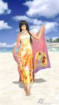  3d barefoot beach black_hair china_dress chinese_clothes day dead_or_alive dead_or_alive_4 dress highres kokoro_(doa) long_hair outdoors sky solo 