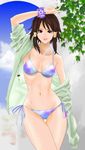  1girl bangs bikini brown_eyes brown_hair chai_xianghua hybrid_cat leaf leaves looking_at_viewer midriff navel short_hair side-tie_bikini sky soul_calibur standing swimsuit water xianghua 