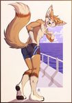  abs akasch biceps canine chest_tuft clothing fennec fox fur gothwolf male mammal muscles nipples pecs swimsuit tuft 