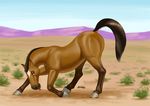  ambiguous_gender desert equine feral horse horseshoe kneeling looking_back mammal mane mohawk muscles outside presenting raised_tail siyah sky solo tongue 