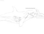  armorine bulge canine cetacean cum cum_inside feeding inter_species internal mammal marine masturbation nude orca orgasm size_difference vore whale 