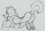  afrosoldier303 all_fours anus ass_up balls butt canine kneeling looking_back male male/male mammal pads paws pillow plain_background presenting raised_tail sketch solo top_view white_background wolf 