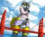  bridge clothing giant girly goldengate invalid_color jumper logangrey macro ozoneserpent 