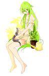  alternate_color alternate_eye_color alternate_hair_color animal animal_on_lap bad_id bad_pixiv_id braid cat cat_on_lap dress green_eyes green_hair highres ia_(vocaloid) long_hair plant potted_plant side_braids solo strapless strapless_dress twin_braids very_long_hair vocaloid watering_can yodare_(3yami8) 