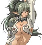  breasts cleavage echidna elf green_hair large_breasts long_hair lowres pointy_ears queen&#039;s_blade queen's_blade underboob 