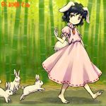  1girl animal_ears arm_at_side arm_up bamboo bamboo_forest barefoot black_hair brown_eyes bunny bunny_ears bunny_tail carrot carrot_necklace closed_mouth dress floppy_ears forest full_body inaba_tewi jewelry lowres meimaru_inuchiyo nature outdoors pendant pink_dress puffy_short_sleeves puffy_sleeves red_ribbon ribbon ribbon-trimmed_dress short_hair short_sleeves smile solo standing sunlight tail touhou walking 