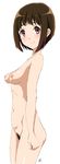  1girl blush breasts brown_hair female from_side hibike!_euphonium looking_at_viewer looking_back mole nakaseko_kaori navel nipples nude pink_eyes pubic_hair short_hair signature simple_background smile solo vzmk2 white_background 