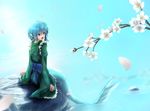  blue_eyes blue_hair borushichi cherry_blossoms from_behind head_fins highres looking_to_the_side mermaid monster_girl open_mouth ripples short_hair sitting_on_rock solo touhou tree_branch wakasagihime water 