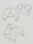  afrosoldier303 anus ass_up balls bear belly butt chubby drooling mammal overweight pads paws pillow raised_leg saliva sketch sleeping solo white_background 