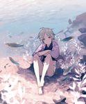  air_bubble androgynous animal barefoot blue_hair blush bubble crossed_arms fish light_smile looking_at_viewer male_focus miyanoyori original seaweed short_hair shorts sitting solo submerged tears underwater water 