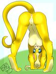  2015 anthro anus areola big_eyes blonde_hair blue_eyes breasts butt clitoris female freckles fur hair invalid_tag looking_at_viewer mammal mouse navel nikinazu nipples nude plain_background presenting presenting_hindquarters pussy rodent solo whiskers white_background yellow_fur 