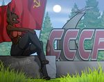  aleone canine communism female flag grass jackal mammal patriotism politics socialist soviet summer tree ussr 