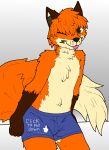  basicbackground canid canine clothing fox invalid_tag male mammal solo spiritownage underwear 