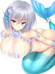  arms_behind_back ass bare_shoulders blush breasts fins inma_kourin_devil_carnival jewelry large_breasts mermaid monster_girl necklace purple_eyes see-through seta_(monyun) shell short_hair silver_hair simple_background solo white_background wrist_cuffs 