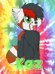  anthro badge brown_fur computerdeathglare english_text fur green_eyes grey_fur hair kaz male mammal multicolored_hair piercing red_fur red_panda solo text tongue tongue_out white_fur 