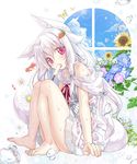  animal_ears bare_shoulders barefoot bubble carrot_hair_ornament dress fake_animal_ears feet fish flower food food_themed_hair_ornament full_body goldfish hair_ornament long_hair morning_glory original popsicle red_eyes sitting star sunflower sweat tail white_hair wind_chime yano_mitsuki 