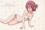  bikini breasts cleavage collarbone folded_ponytail hayate_no_gotoku! maria maria_(hayate_no_gotoku!) navel open_mouth red_eyes simple_background solo swimsuit 