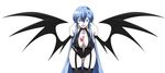  1girl akame_ga_kill! blue_eyes blue_hair breasts esdeath female high_school_dxd large_breasts simple_background solo 