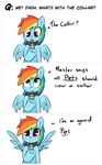  collar english_text equine female feral friendship_is_magic grumblepluck horse mammal my_little_pony pegasus pet pony rainbow_dash_(mlp) simple_background solo text white_background wings 