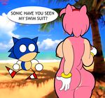  amy_rose beach breasts butt chubby coke female humor invalid_color male mcpartyworld nude seaside sonic_(series) 