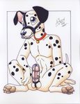  2004 anthro balls bdsm bondage bound canine collar dalmatian dog male mammal michele_light muzzle_(object) muzzled nude penis sitting solo spots 