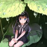  black_hair black_legwear blue_eyes dew_drop kneehighs leaf loafers long_hair looking_at_viewer minigirl open_mouth original school_uniform serafuku shigure_ui shoes solo water_drop 