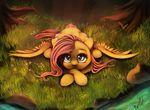  2015 cutie_mark equine fangs female feral fluttershy_(mlp) friendship_is_magic grass hair hi_res inside long_hair looking_at_viewer lying mammal miokomata my_little_pony on_front pegasus rock solo tree wings 
