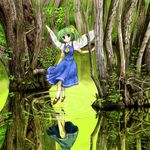  blue_eyes cervus daiyousei fairy_wings green_hair looking_at_viewer solo swamp touhou wings 