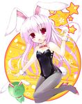  animal_ears bunny_ears bunnysuit flat_chest hoshikuzu original pantyhose solo 