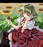  ascot bad_id bad_pixiv_id black_legwear bug butterfly butterfly_on_hand colored_eyelashes crossed_legs dress flower from_above green_hair green_nails hand_on_own_face insect kazami_yuuka looking_up nail_polish red_eyes short_hair sitting skirt skirt_set smile solo sunflower thighhighs touhou vest yasumo_(kuusouorbital) 