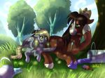  2015 blush brown_hair bucket cowboy_hat derpy_hooves_(mlp) duo equine female friendship_is_magic green_eyes hair hat horse male mammal my_little_pony outside paint pegasus pony tree troubleshoes_(mlp) whitephox wings yellow_eyes 