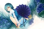  blue_eyes blue_hair chiruru96 dutch_angle flower from_behind full_body geta heterochromia hydrangea karakasa_obake long_sleeves looking_at_viewer looking_back puddle puffy_sleeves rain red_eyes shirt shoes single_shoe sitting skirt solo tatara_kogasa tongue tongue_out touhou umbrella vest wet wet_clothes 