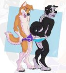  anthro bulge canine clothed clothing digitigrade dog duo fluke fur half-dressed male male/male mammal standing underwear undressing 
