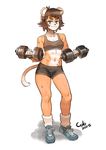  2015 clothed clothing colo dumbbell feline female lifting_weights mammal solo sweat 