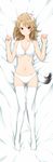  absurdres animal_ears bra breasts brown_eyes brown_hair cleavage dakimakura dog_ears dog_tail full_body highres isshiki_iroha long_legs looking_at_viewer medium_breasts panties short_hair solo tail thighhighs underwear underwear_only white_bra white_panties yahari_ore_no_seishun_lovecome_wa_machigatteiru. yuto_(dialique) 