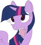  codedcells condom condom_in_mouth equine female feral friendship_is_magic horn mammal my_little_pony suggestive twilight_sparkle_(mlp) winged_unicorn wings 