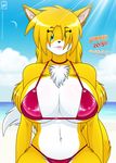  beach big_breasts bikini blue_eyes breasts canine clothing female fluffy_tail fox looking_at_viewer mammal seaside solo swimsuit walter_sache 