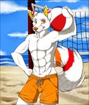  abs beach beach_ball canine fur male mammal muscles nighttwilightwolf orange_eyes orange_nose sea seaside sky smile solo stripes volskar water white_fur wolf 