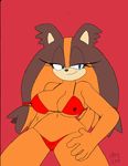  2015 anthro badger big_breasts bikini breasts clothed clothing dreamcastzx erect_nipples female hedgehog mammal mustelid nipples skimpy solo sonic_(series) sticks_the_jungle_badger swimsuit 