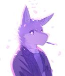  2018 anthro black_nose canine chung0_0 clothed clothing digital_media_(artwork) fox fur inner_ear_fluff looking_at_viewer male mammal purple_theme simple_background solo 