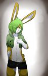  2013 bulge green_eyes green_hair hair lagomorph looking_at_viewer lotte_(munks) male mammal midriff munks_(artist) rabbit solo spats 