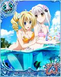  artist_request bikini blonde_hair blue_eyes breasts card_(medium) cat_hair_ornament character_name chess_piece cleavage drill_hair fish flat_chest flower hair_flower hair_ornament high_school_dxd high_school_dxd_new large_breasts midriff multiple_girls navel official_art ravel_phenex rook_(chess) short_hair side-tie_bikini silver_hair swimsuit toujou_koneko trading_card twin_drills twintails yellow_eyes 